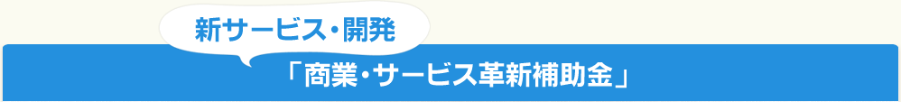 新サービス・開発「商業・サービス革新補助金」