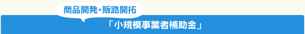 商品開発・販路開拓「小規模事業者補助金」