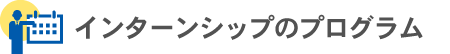 インターンシップののプログラム