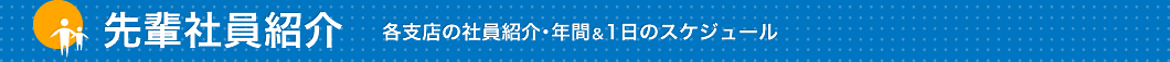 先輩社員紹介